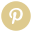 pin icon